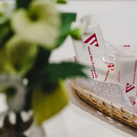 Mas Camarena 4* Paterna