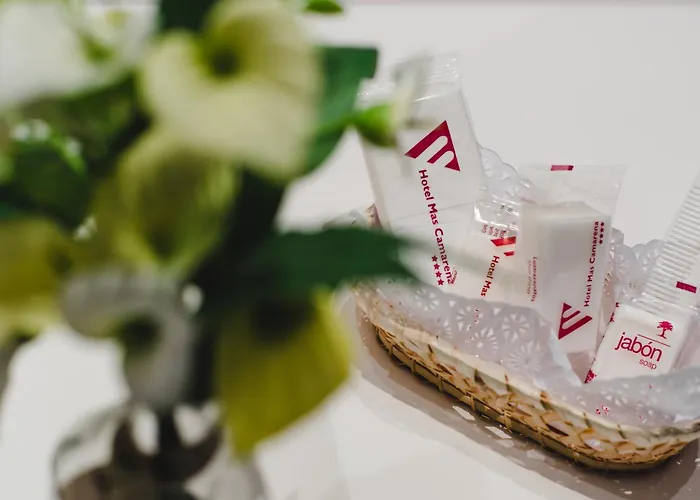 Szálloda Mas Camarena 4*